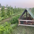 Discover the Truth About Ranch vs Farm vs Homestead Life